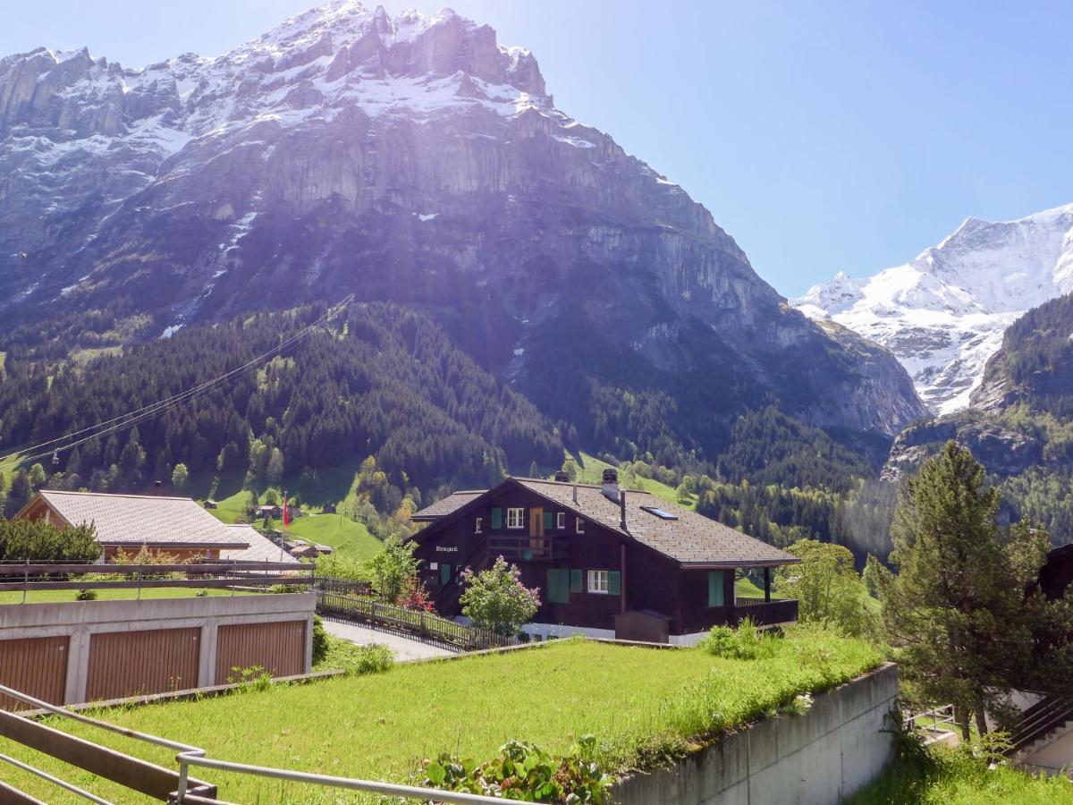 Apartment Chalet Almis-Boedeli-1 By Interhome Grindelwald Exterior foto